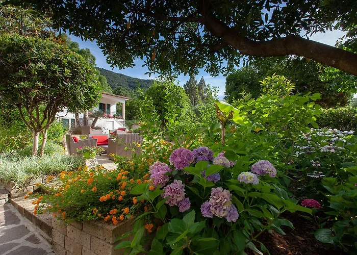 Boutique Ilio فندق 3*