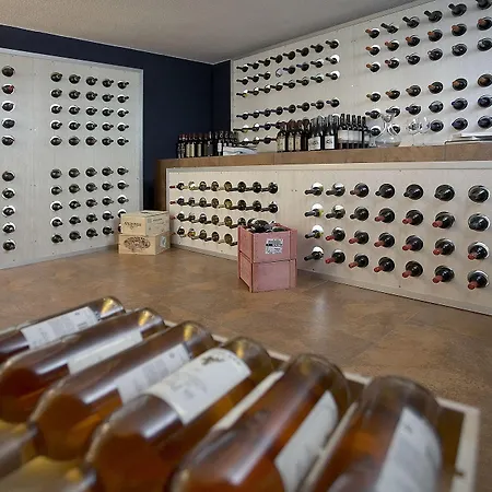 فندق Boutique Ilio