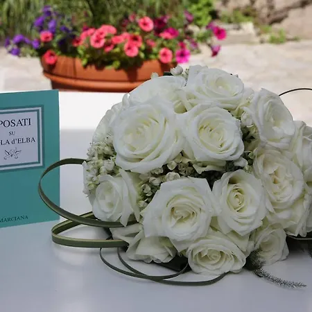 Отель Boutique Ilio Сант-Андреа
