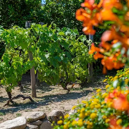 酒店 Boutique Ilio SantʼAndrea