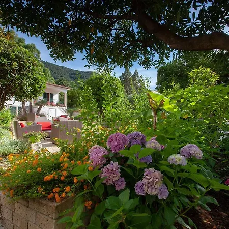 酒店 Boutique Ilio