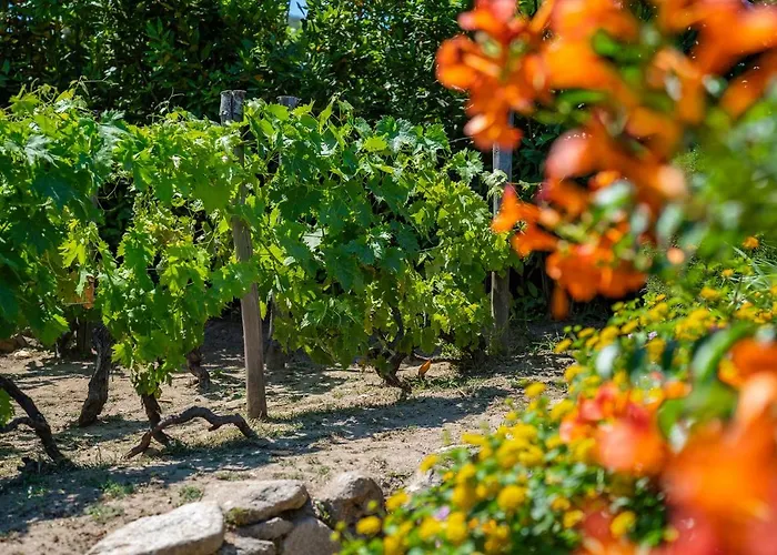 Отель Boutique Ilio Сант-Андреа