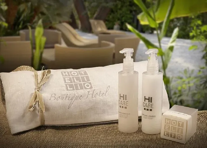 Boutique Ilio Hotel 3*